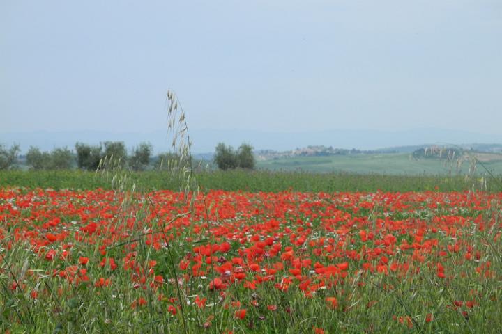 26 mai_32.JPG